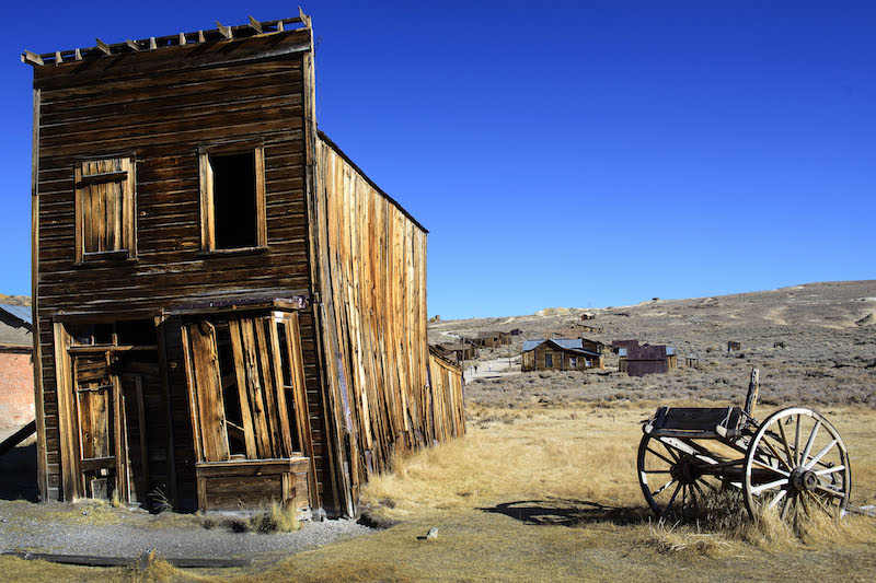05_Bodie